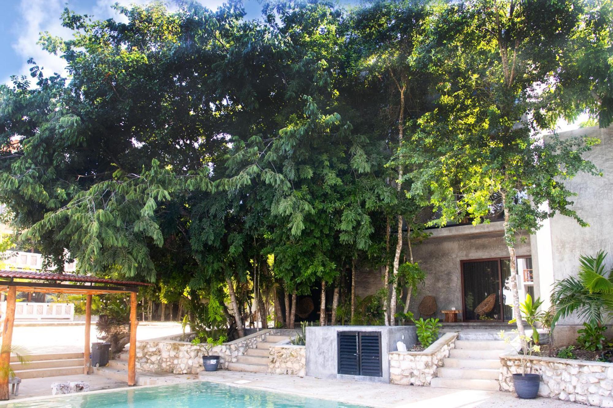 Hotel Casa Tortuga Tulum - Cenotes Park Inclusive Ngoại thất bức ảnh Casa Periódica, Mérida, Yucatán, Mexico