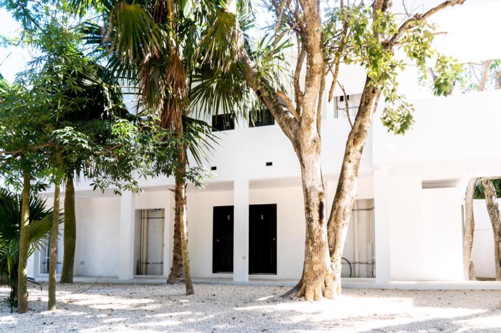 Hotel Casa Tortuga Tulum - Cenotes Park Inclusive Ngoại thất bức ảnh The house of the writer, in Mérida, Yucatán.